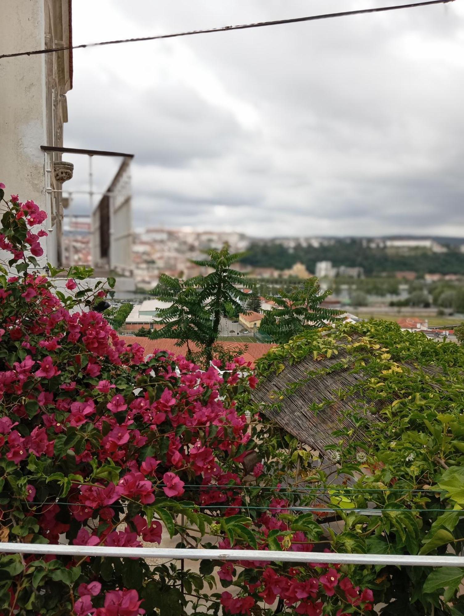 Casa Com Vista Sob A Cidade! Coimbra Ngoại thất bức ảnh